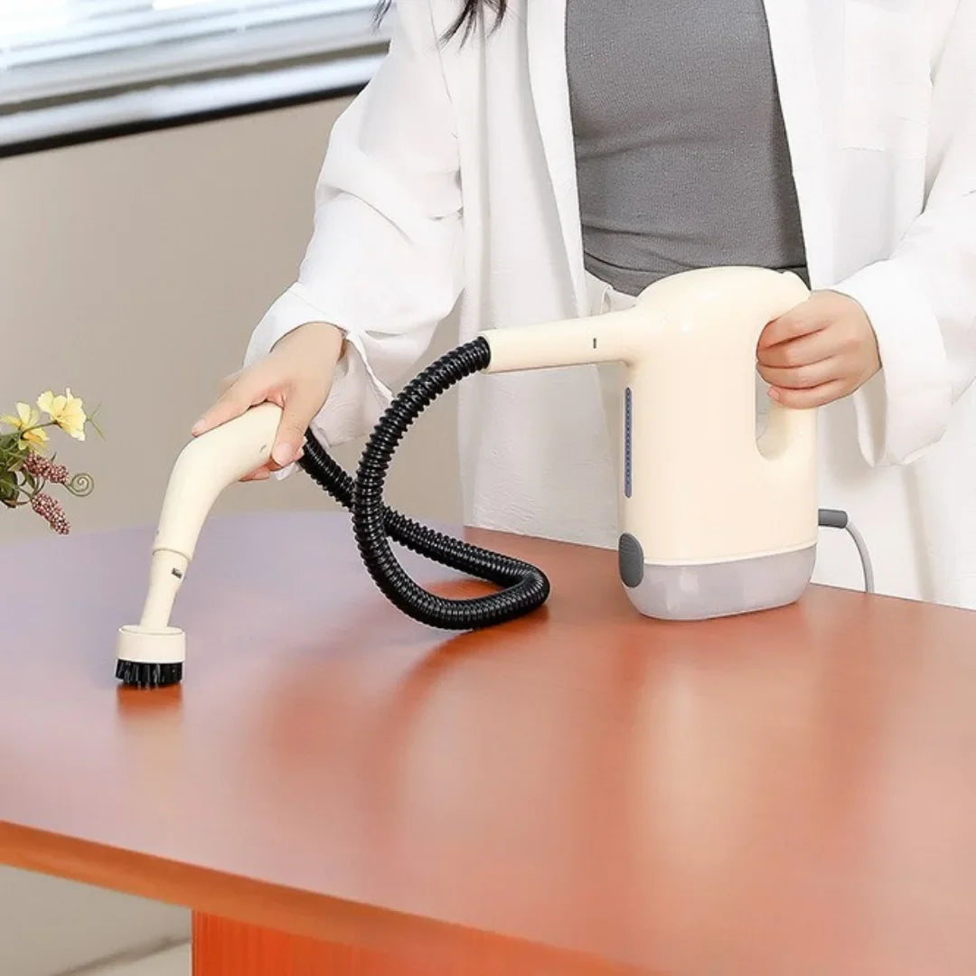 Steam Cleaning Machine